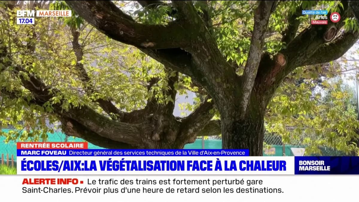 placeholder video