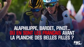 Tour de France : Alaphilippe, Bardet, Pinot... où en sont les Français avant la Planche des Belles filles ?