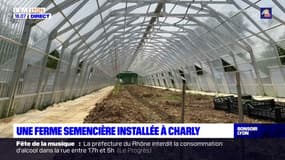 Rhône: la première ferme semencière inaugurée à Charly