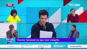 Seroussi n'a pas tout compris : Congés pour s'occuper de son animal - 07/11