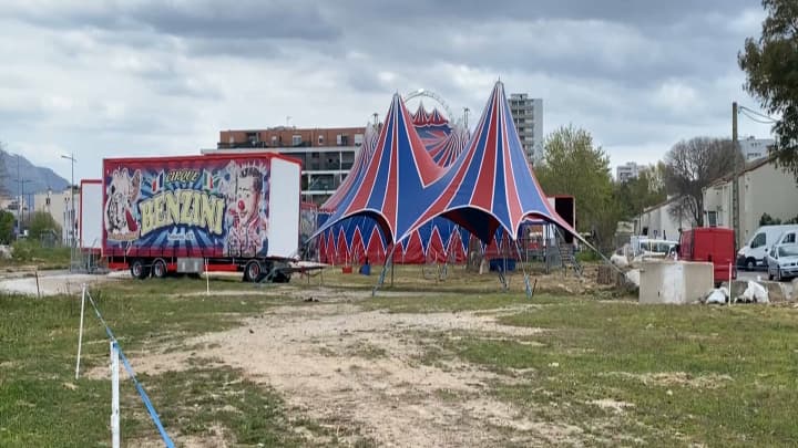 Le cirque Benzini à La Seyne-sur-Mer (Var)