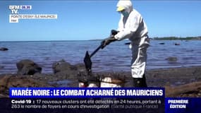 Le combat des Mauriciens pour préserver leurs côtes de la marée noire