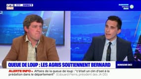 Hautes-Alpes: le président des Jeunes agriculteurs estime que le niveau de présence du loup "n'est pas supportable"