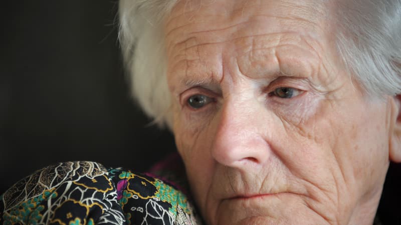 Yvette Farnoux, huitième française de l'histoire grand' croix de la Légion d'Honneur, élevée à la plus haute dignité de l'ordre lors de la promotion du 1er janvier, pose à son domicile, le 2 janvier 2009 à Vanves. Elle avait raconté sa Résistance et sa déportation dans "Héroïnes françaises" paru au début 2008, où l'auteur Monique Saigal avait consacré un chapitre à Yvette Baumann qui épousa Abel Farnoux, également résistant, décédé le 30 juillet 2008. Yvette Farnoux rejoint la Résistance en 1941, à l'âge de 22 ans, sous les ordres de la célèbre Berty Albrecht, en volant du ravitaillement pour des résistants emprisonnés. Elle fut déportée vers Auschwitz-Birkenau en avril 1944, puis à Ravensbrück, le seul camp de concentration réservé aux femmes.