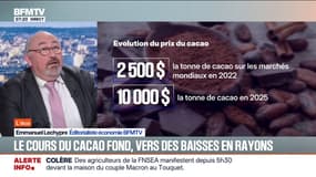 SIGNÉ BFM - Pourquoi le prix du cacao sur les marchés mondiaux a-t-il chuté de 50%?