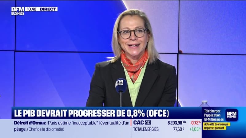 Les Experts : Le PIB devrait progresser de 0,8% (OFCE) - 09/04