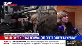 Mobilisation des agriculteurs: "Ils se battent aussi pour nous", affirme Yaël Braun-Pivet