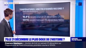 Nouvel An: vers un record de température le 31 décembre à Paris?