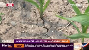 Sécheresse: de nombreux départements toujours en alerte malgré les précipitations