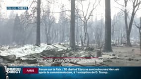 Incendies en Californie: plus de 30 morts, le bilan le plus lourd depuis 1933