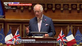 Charles III: "Je m'engage à faire tout ce qui est dans mon pouvoir pour renforcer la relation indispensable entre le Royaume-Uni et la France"