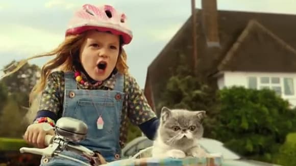 La fillette et son chat sont devenus des stars. La fillette et son chat sont devenus des stars.