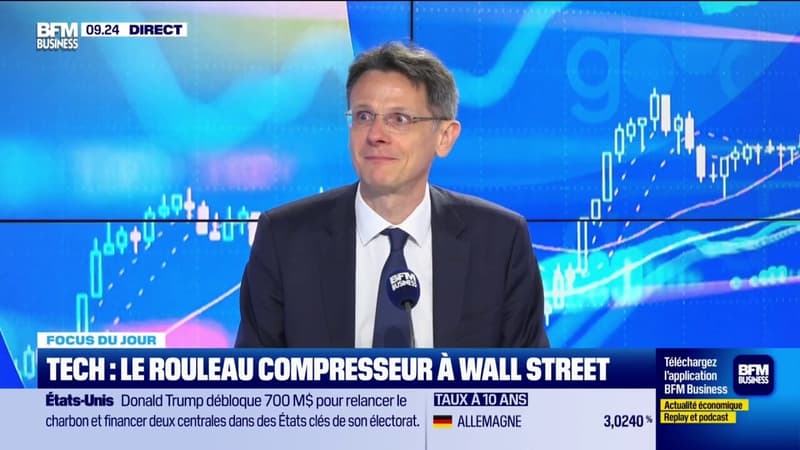 Puces : comment garder la tête froide ?