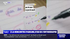 Star de l'orthographe, cette institutrice cartonne avec ses vidéos sur les réseaux sociaux