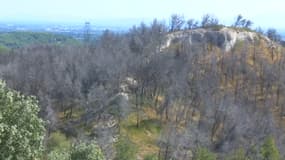 Le massif de la Montagnette.
