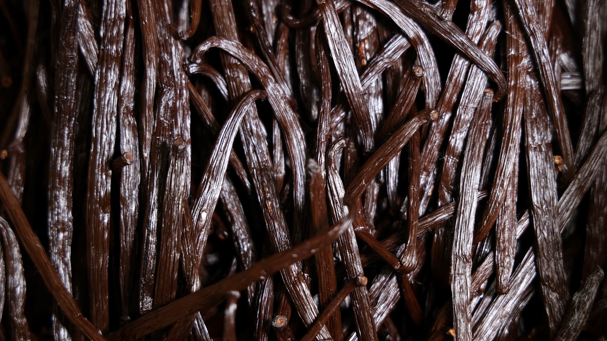 Timor-Leste Bets on Vanilla to Revitalize Rural Economies