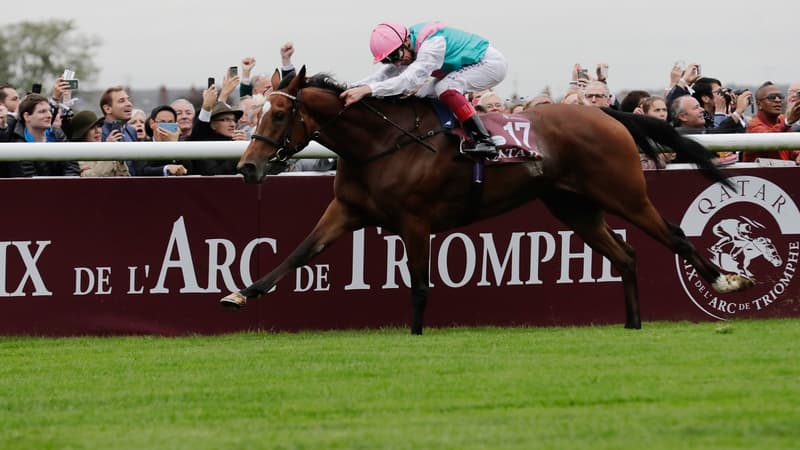 Enable vainqueur du Qatar Prix de l'Arc de Triomphe