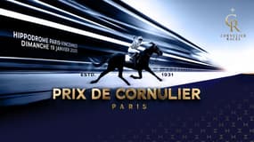 Les pronos hippiques du 19 janvier 2025
