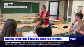 Études supérieures: se remettre à niveau avant la reprise