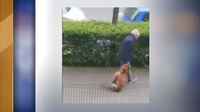 Image de l'individu en train de traîner l'animal dans les rues d'Argenteuil.