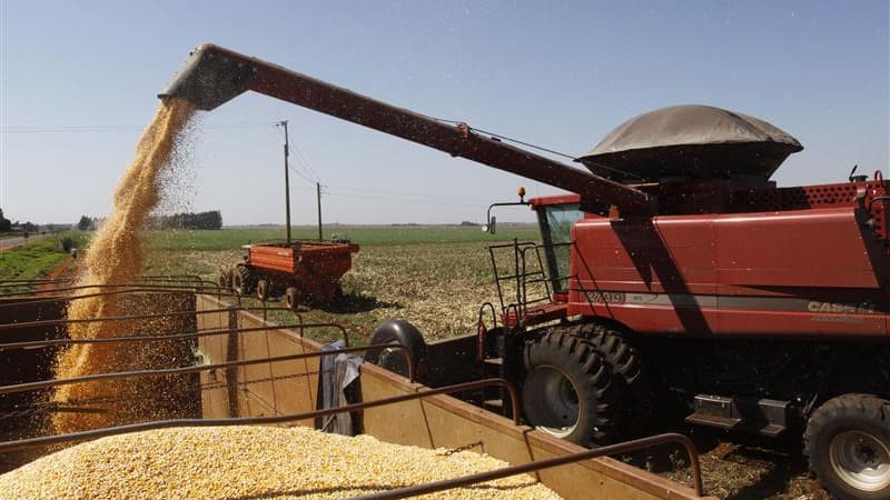 Selon une étude publiée mercredi et qui s'est penchée sur la totalité du système agroalimentaire, la production alimentaire pourrait représenter jusqu'à 29% des émissions humaines de gaz à effet de serre. /Photo prise le 7 août 2012/REUTERS/Jorge Adorno