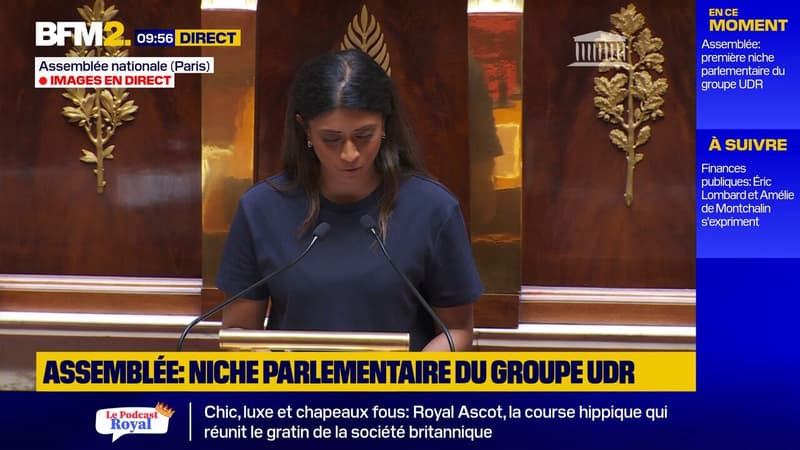 Peine d'inéligibilité: Prisca Thévenot dénonce 
