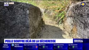Alpes-Maritimes: la commune de Peille souffre déjà de la sécheresse