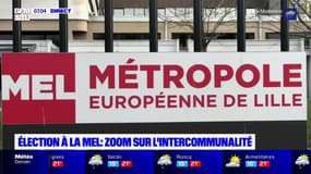 Compétences, missions, budget: à quoi sert la Métropole européenne de Lille?
