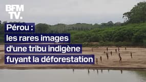  Pérou: les rares images d'une tribu sans contact avec le reste du monde, fuyant la déforestation 