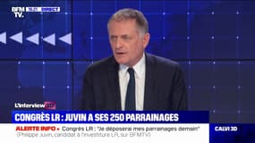 Parrainages de maires: "Je vais prendre un volet de sécurité en en déposant 270", prévient Philippe Juvin