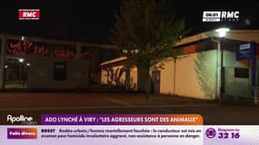 TÉMOIGNAGE RMC : Maire de Viry : "Les agresseurs sont des animaux"