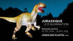 L'exposition Jurassique en voie d'Illumination du 20 novembre 2024 au 19 janvier 2025 au Jardin des Plantes