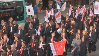 Manifestation des avocats dans les rues de Paris, le 07 juillet 2014.
