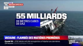 Matières premières, essence, blé: face à la guerre en Ukraine, les prix flambent 