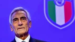 Gabriele Gravina, président de la FIGC
