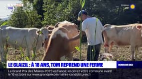 Hautes-Alpes: à 18 ans, Tom reprend une exploitation agricole au Glaizil