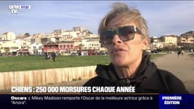 "Il m'a sauté au visage": 250.000 morsures de chiens par an, un traumatisme pour les victimes