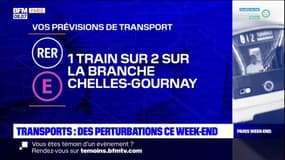 Île-de-France: des perturbations dans les transports en commun ce week-end