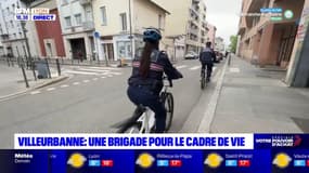 Villeurbanne : une brigade pour le cadre de vie