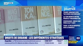 Quelles sont les stratégies adoptées face aux droits de douane imposés par Donald Trump ?