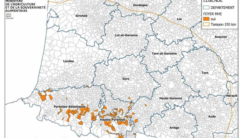 Les foyers de la maladie hémorragique épizootique en France au 5 octobre 2023
