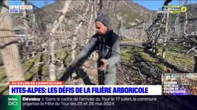 Hautes-Alpes: l'utilisation des pesticides fait débat au sein des arboriculteurs