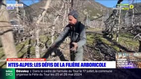 Hautes-Alpes: l'utilisation des pesticides fait débat au sein des arboriculteurs