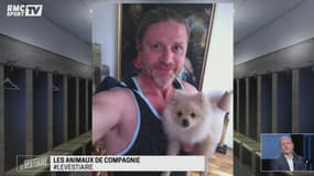 Christophe Dugarry, Frank Leboeuf et Manu Petit dans Le Vestiaire