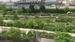 Les jardins d'Eole à Paris.