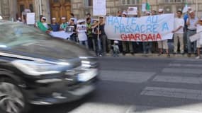Manifestation à Marseille contre le génocide des Mozabites à Ghardaïa en Algérie - Témoins BFMTV