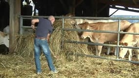 Détresse des éleveurs: que réclament-ils?