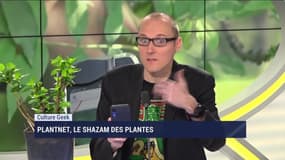 Anthony Morel: PlantNet, le Shazam des plantes - 20/03