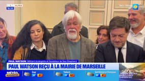 JT du Sud du lundi 20 janvier