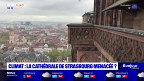 La cathédrale de Strasbourg menacée par le réchauffement climatique?